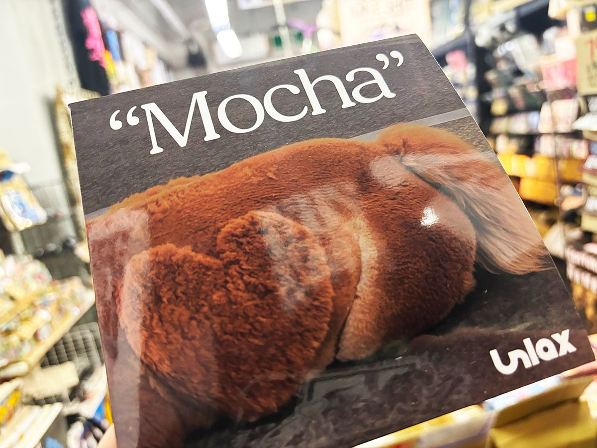 gainground025's tweet photo. 品切れになっていた新潟産メロディックパンク/エモ #Unlax のMocha(CD 550円)をタ・ケト君が持ってきてくれました!ありがと~!
店頭とオンラインで販売再開です!
個人的に一周して今3, 4, 5曲目にハマってます^^ 皆も推し曲作ってね!
オンラインストアはコチラ
https://t.co/BEds016r9V https://t.co/Pkm2v0Rh8s