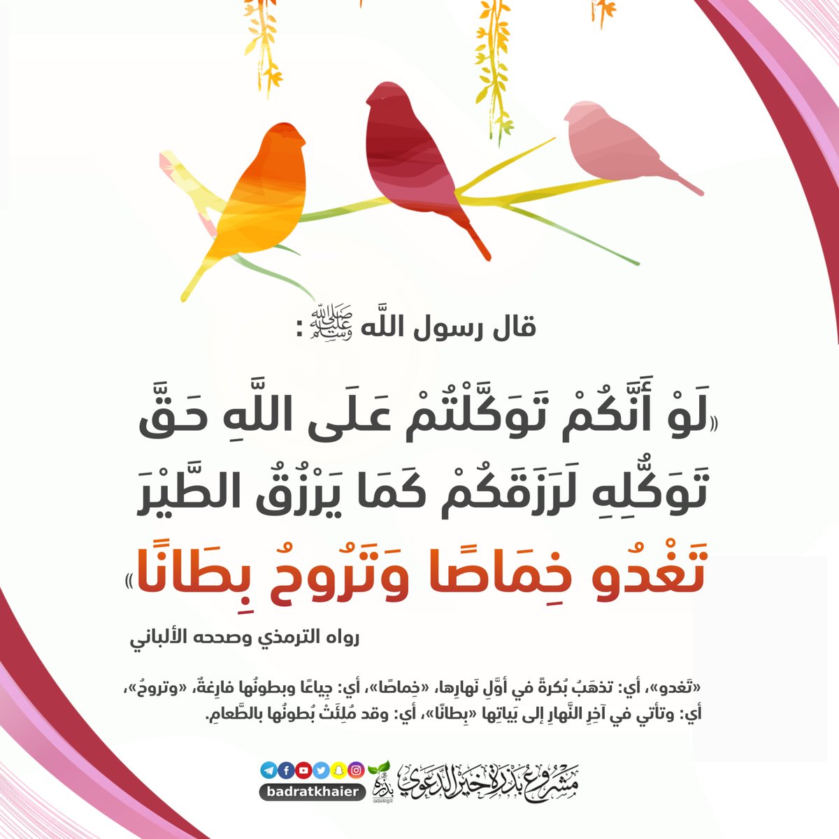 badratkhaier's tweet photo. https://t.co/qODs9efYVM
