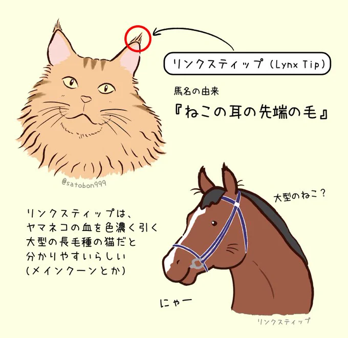 リンクスティップの馬名由来が気になる🐈
#オークス 