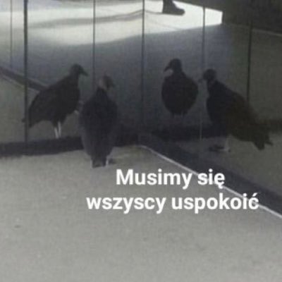 dehardcor's tweet image. ja pierdole za godzinę rozmowa o pracę