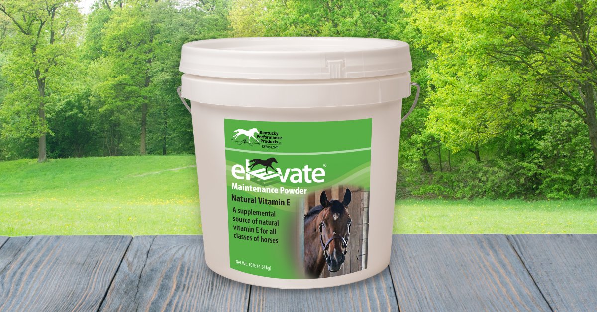 “This supplement saved my palomino mare’s life. She had a deficiency and I didn’t know. She got increasingly agitated and started exhibiting neuro symptoms and instability in her hind end … 9 weeks after starting Elevate she is sound, and moving more comfortably.” - Jennifer