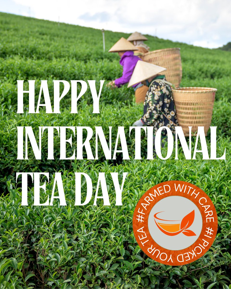 CanadaTea's tweet photo. Happy International Tea Day! Join us in raising our cups to the farmers and producers who devote their days to the endless expanses of tea fields. Thank you! #FarmedWithCare #IPickedYourTea #InternationalTeaDay #BrewCrew #PinkiesUp @FAO https://t.co/QfbiACRy00