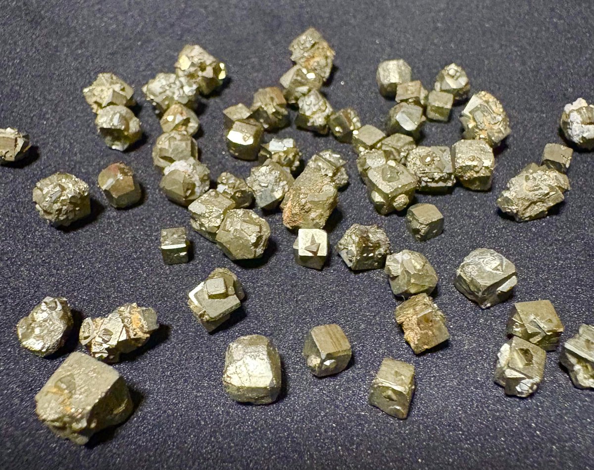 趣味の砂金採り on X