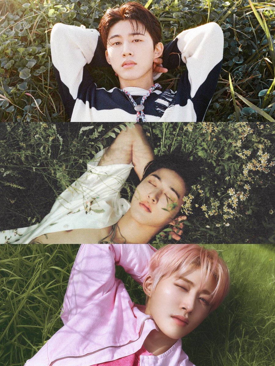 waterfall → cosmos → wonderland