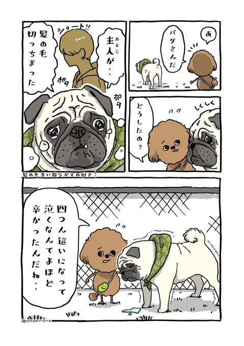 髪の毛好きのパグ 