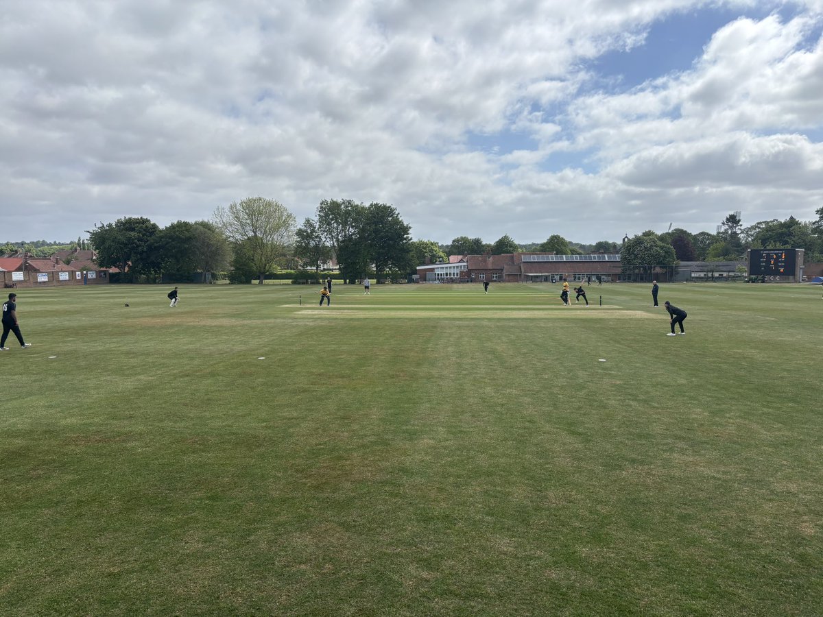 Park View Cricket Academy tweet media