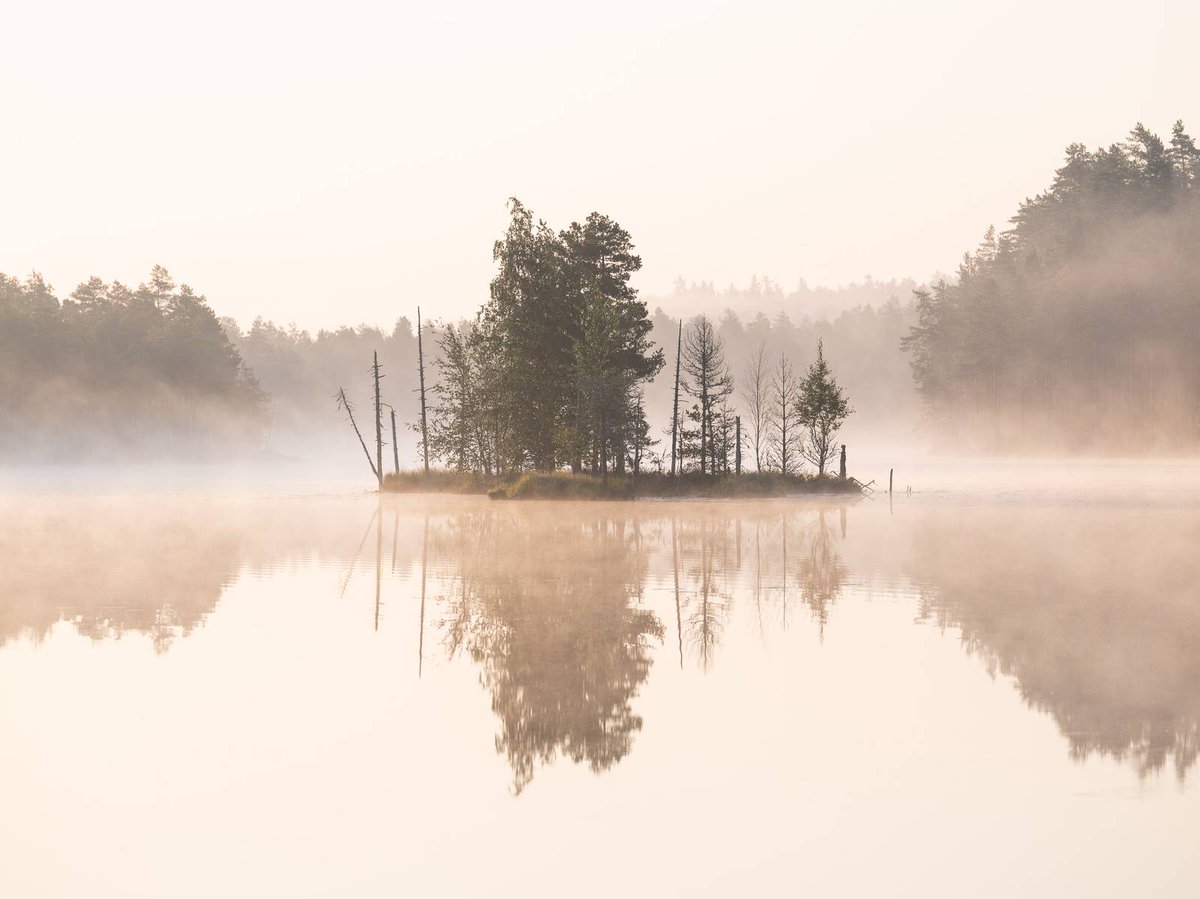 MikkoLagerstedt's tweet photo. Harmonia https://t.co/MQGlH5uMFw
