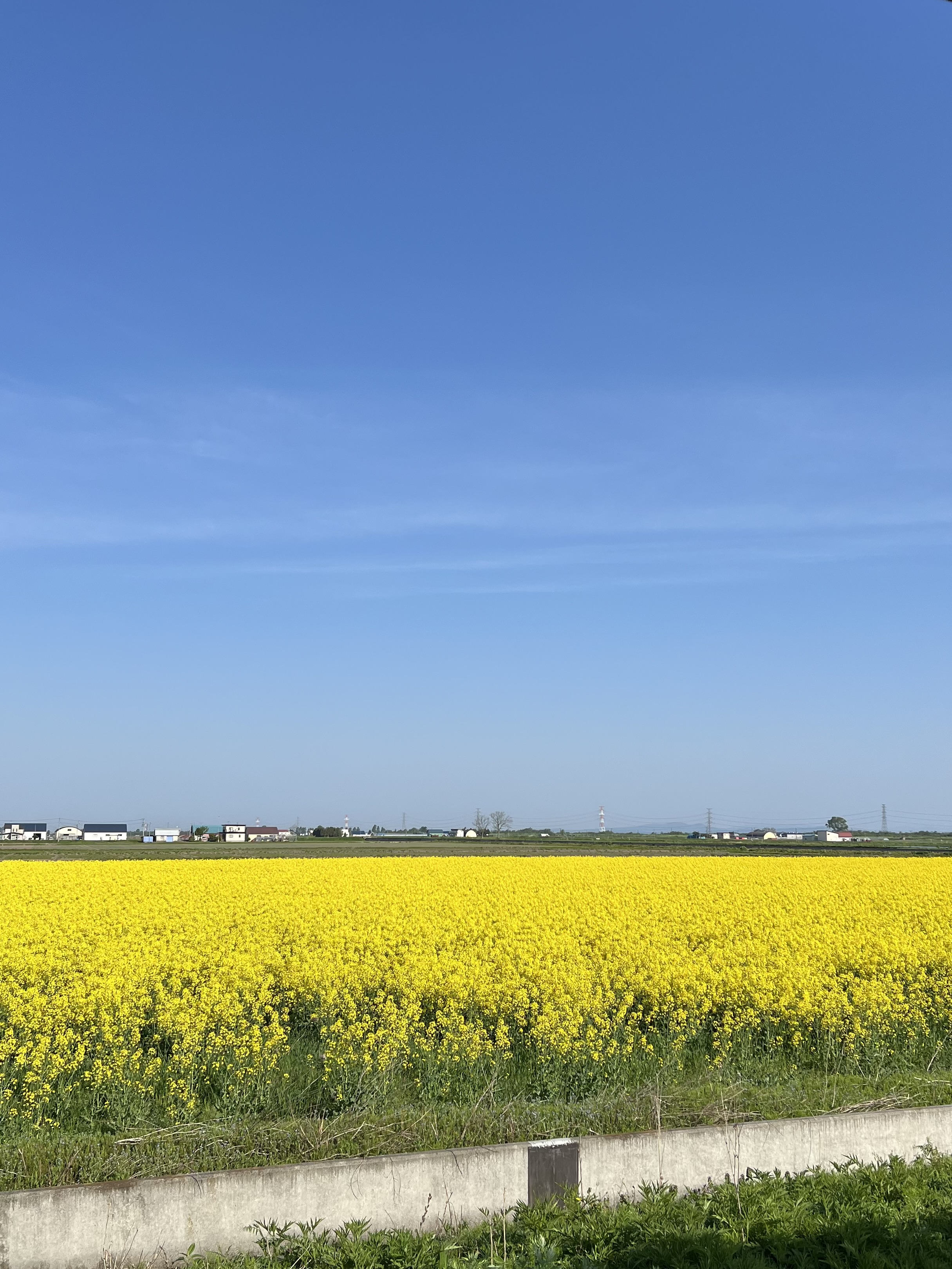 なのはなさま専用ページ なのはな - Search / X