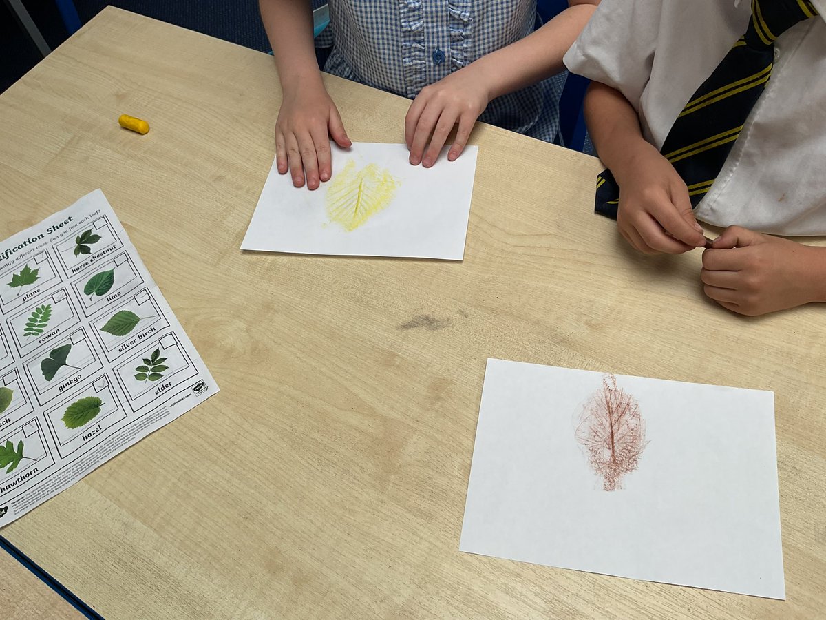 #DowsonYear1 during our Science lesson we went for a walk in our local area. We looked for different trees and flowers and ticked them off on our checklist when we saw them. We then collected some leaves and made some leaf rubbings. #DowsonScience #WeAreDowson