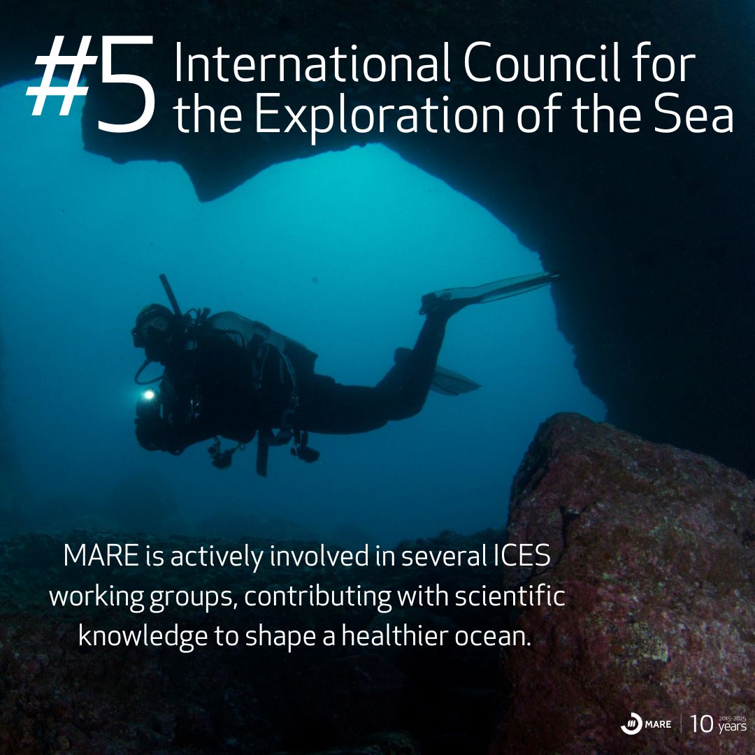 MARE (@marescience) on Twitter photo <a href="/Euromarine_tw/">EuroMarine</a> <a href="/wiomsa/">WIOMSA</a> <a href="/BAS_News/">British Antarctic Survey 🐧</a> 5. <a href="/ICES_ASC/">ICES</a> <a href="/Euromarine_tw/">EuroMarine</a> <a href="/wiomsa/">WIOMSA</a> <a href="/BAS_News/">British Antarctic Survey 🐧</a> 5. <a href="/ICES_ASC/">ICES</a>