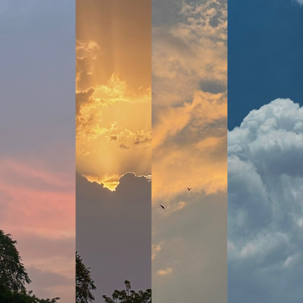 zeeaurav's tweet photo. subtle skies https://t.co/o6wcqM7PWl