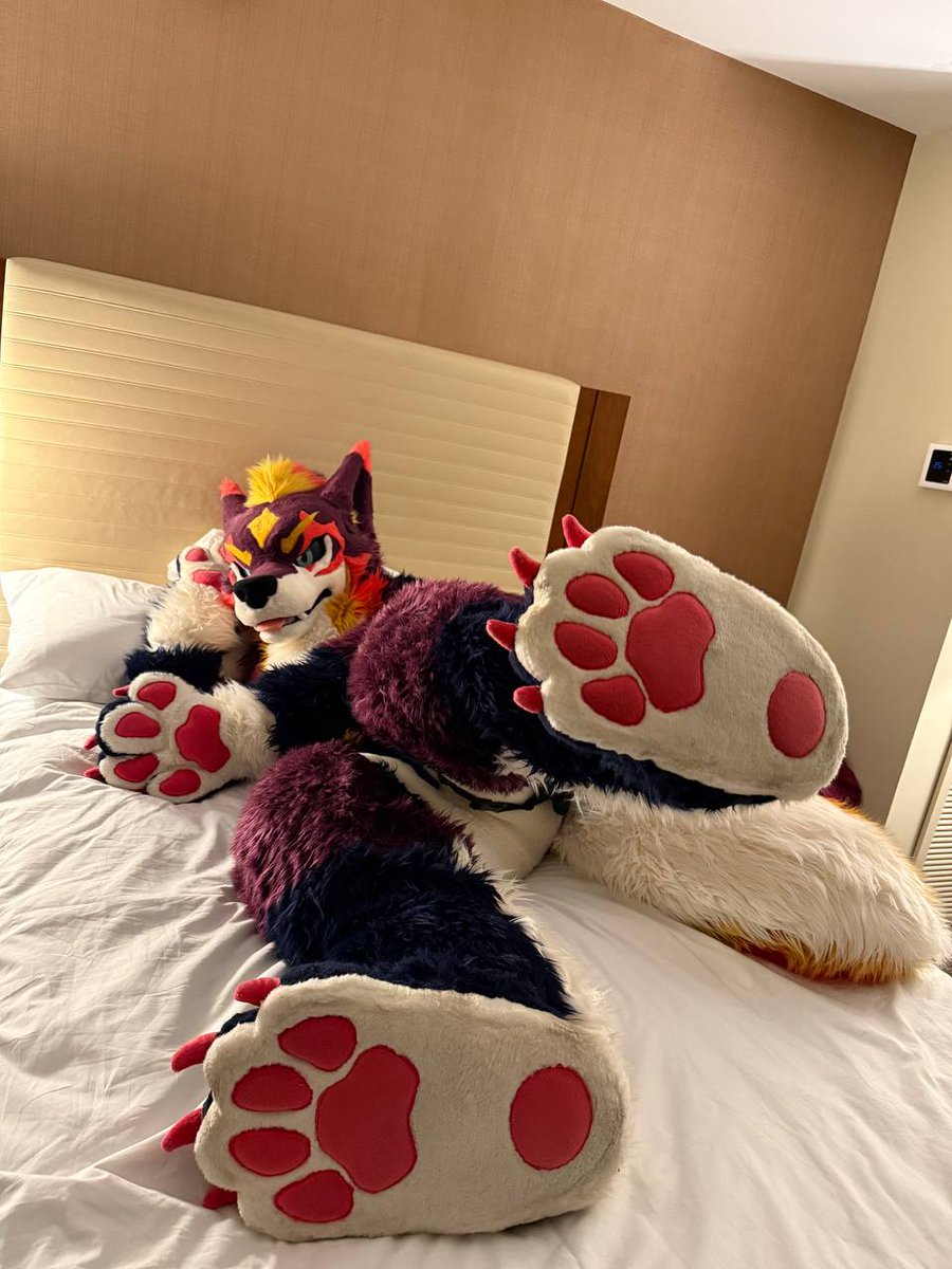 暮れKure ✨🌠 / Kiba Wolf (牙ウルフ)➲MFF tweet media