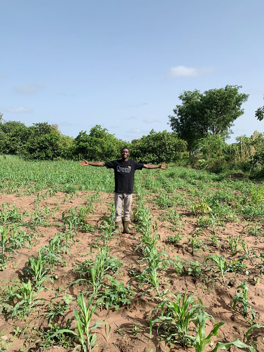 OpeimuTheFarmer's tweet photo. Agriculture my passion.🌾🍂
#FoodSecurity #agriculture https://t.co/wVLEJ2dBfd