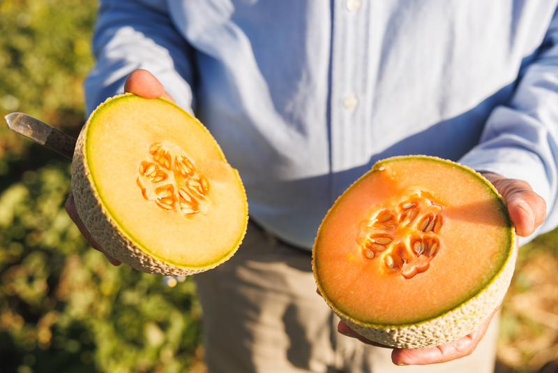 The Spring Issue of The Rural Economist from our @terrainag analysts, Matt Clark and <a href="/MattCWoolf/">Matt Woolf</a> is here.

Key insights on regulations &amp; specialty crop production, financial stress on field crop producers and more. 🔗 brnw.ch/21wSOX2

#Agriculture #Farming #RuralEconomy