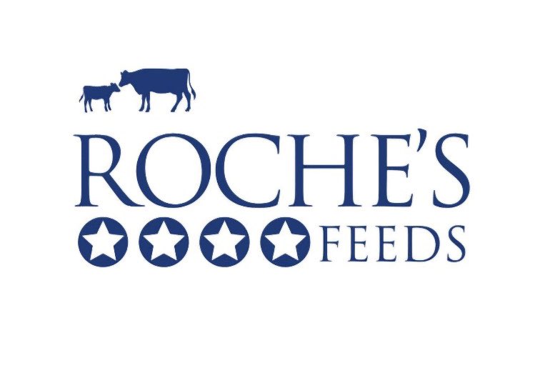 Our Celtic Challenge Boys took part in the “Hurl for Joe” festival of hurling in corofin last weekend. Compliments to Corofin &amp; Ruan clubs for such a brilliant event and thanks for having us. 

Thanks to Alan Maher for the action shots from the day and also to Roche’s Feeds for