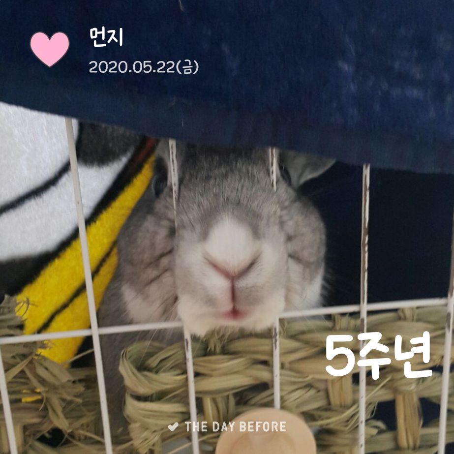 몬디 생일 축하해 😘😘😘😘