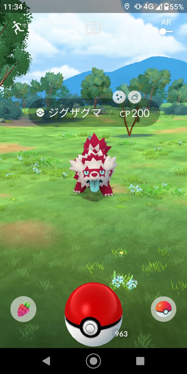 aliszero12's tweet photo. ルージュラとジグザグマが光りましたぁ～
モンボ社長ありがとうまた手投げで久しぶりに光りましたぁ～たまに光って良かったです。 https://t.co/8VxeyWwN04