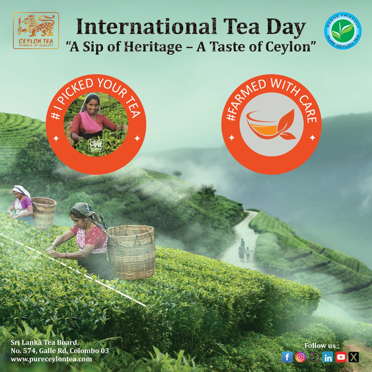 SLinFrance's tweet photo. Celebration of International Tea Day 2025, 21st May with Ceylon Tea

"Every sip of tea has a story. From the fields where it’s nurtured to the hands that carefully pick each leaf, #tea is truly #FarmedWithCare. #IPickedYourTea"

"Tea is a gift from #nature, crafted with care by hardworking hands. Let’s honour the roots of our favorite drink. #FarmedWithCare #NurturedByNature"

@SLTeaBoard @EDB_SriLanka @Thesinfusion