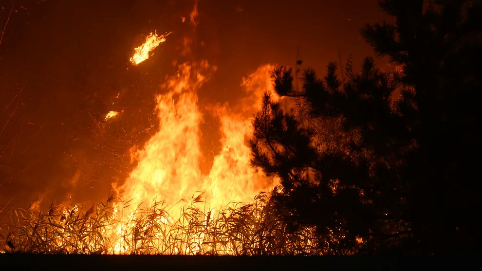 Ах дүү Буриад орон ойн түймэрт автжээ