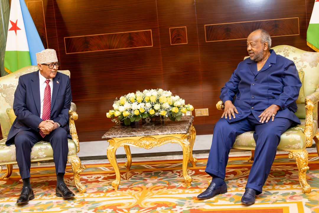 WADDANI PARTY tweet media