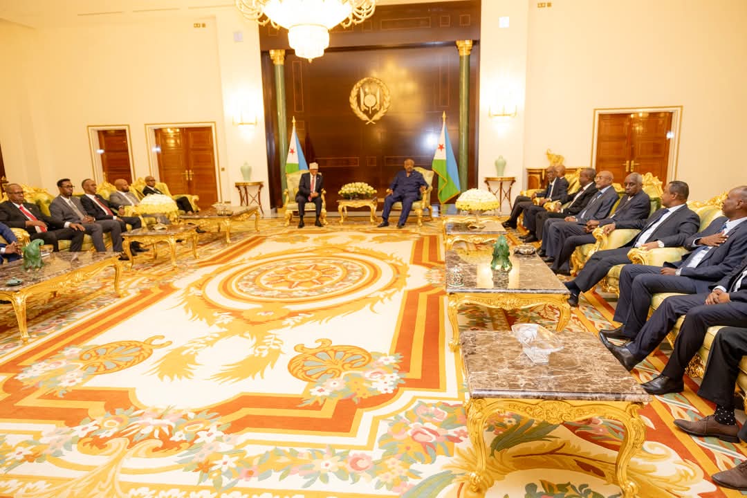 Madaxweynaha Dalka Jabuuti Ismaaciil Cumar Geelle, ayaa qasriga Madaxtooyada dalkaas  ku qaabilay Madaxweynaha Jamhuuriyadda Somaliland Cabdiraxmaan Maxamed Cabdilaahi (Cirro) iyo weftigii  uu hogaaminaayey .