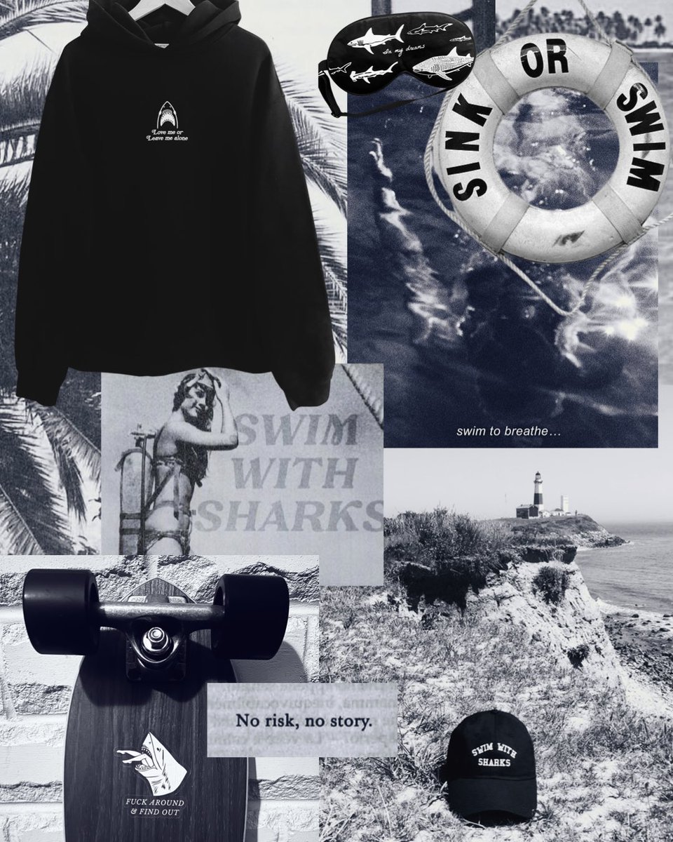 SwimWith_Sharks's tweet photo. No risk, no story 🦈 https://t.co/uOwaby0p0l