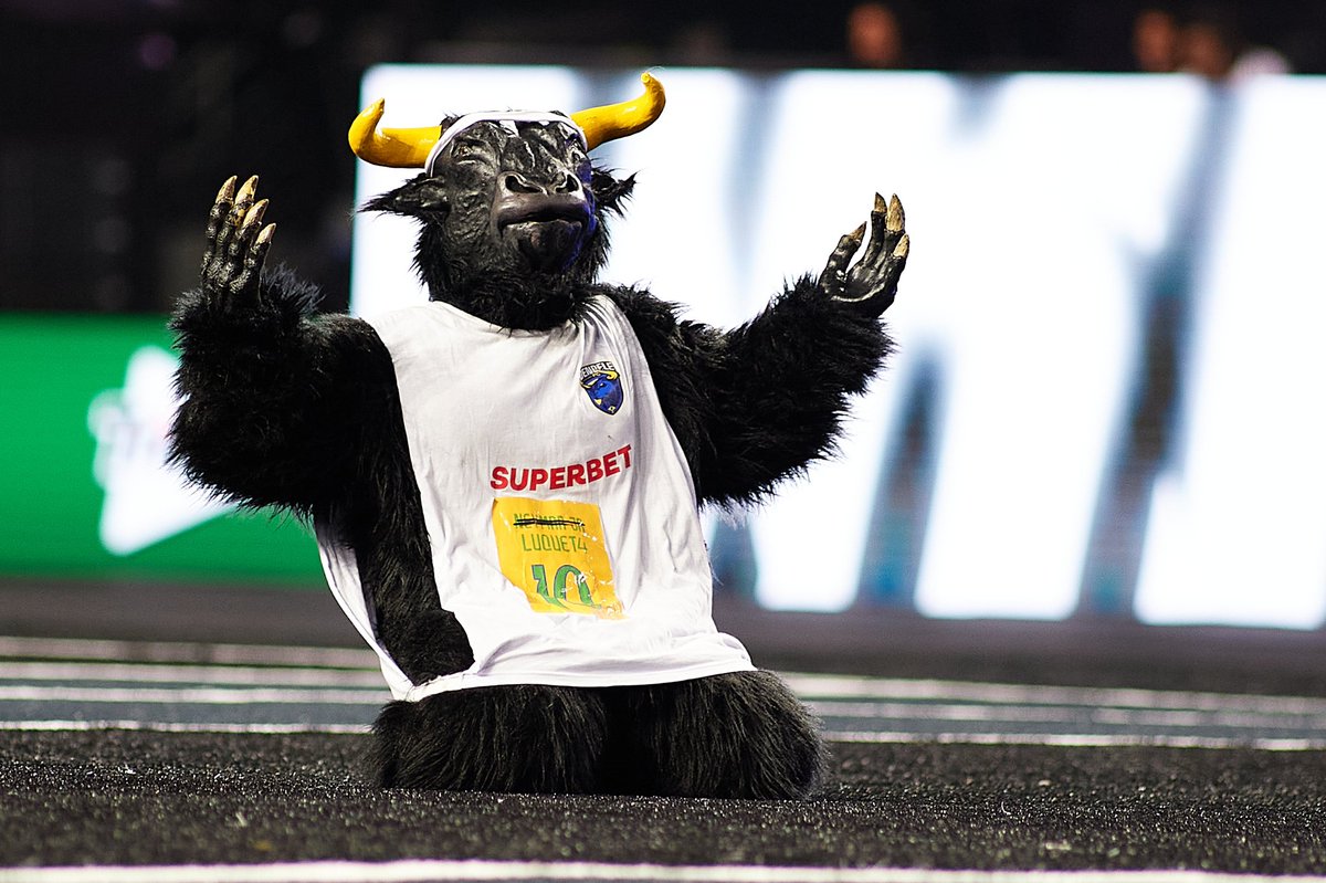 KINGSLEAGUE DES KARTIERS 👑 🇫🇷 (@kingsworld_cup) on Twitter photo 📰 KingsLeague Brazil 👑 🇧🇷
🗣️ <a href="/Dendele_FC/">Dendele FC</a> 🐂
L’HEURE DE MONTRER LA PUISSANCE DE NOS SUPPORTERS !
Les Arena Kings League Awards battent leur plein, et un membre du <a href="/Dendele_FC/">Dendele FC</a> 🐂 est en lice !
On se mobilise, on vote et on met le #TouroLoko au sommet ! 💙💛
#kingsworldcup 📰 KingsLeague Brazil 👑 🇧🇷
🗣️ <a href="/Dendele_FC/">Dendele FC</a> 🐂
L’HEURE DE MONTRER LA PUISSANCE DE NOS SUPPORTERS !
Les Arena Kings League Awards battent leur plein, et un membre du <a href="/Dendele_FC/">Dendele FC</a> 🐂 est en lice !
On se mobilise, on vote et on met le #TouroLoko au sommet ! 💙💛
#kingsworldcup