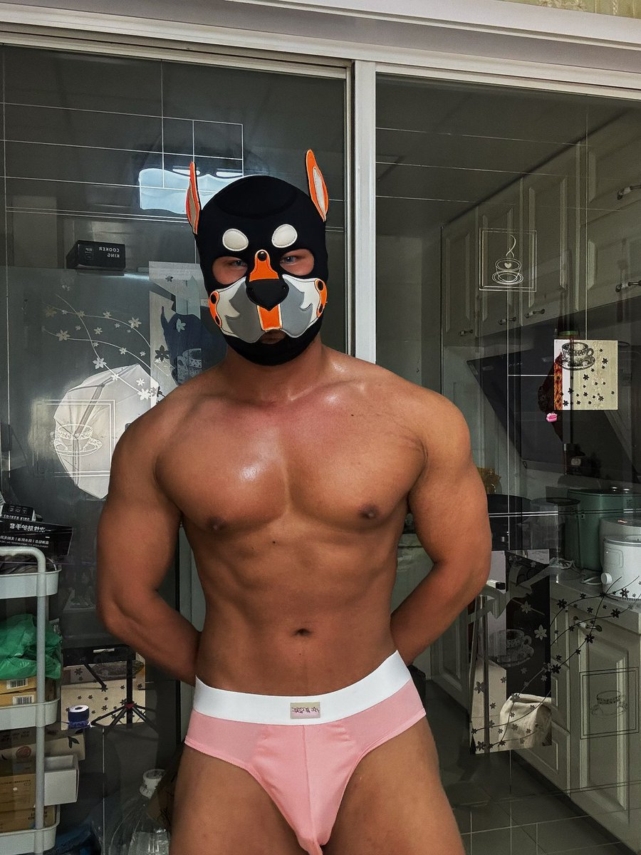 小狼宝 Ryan tweet media