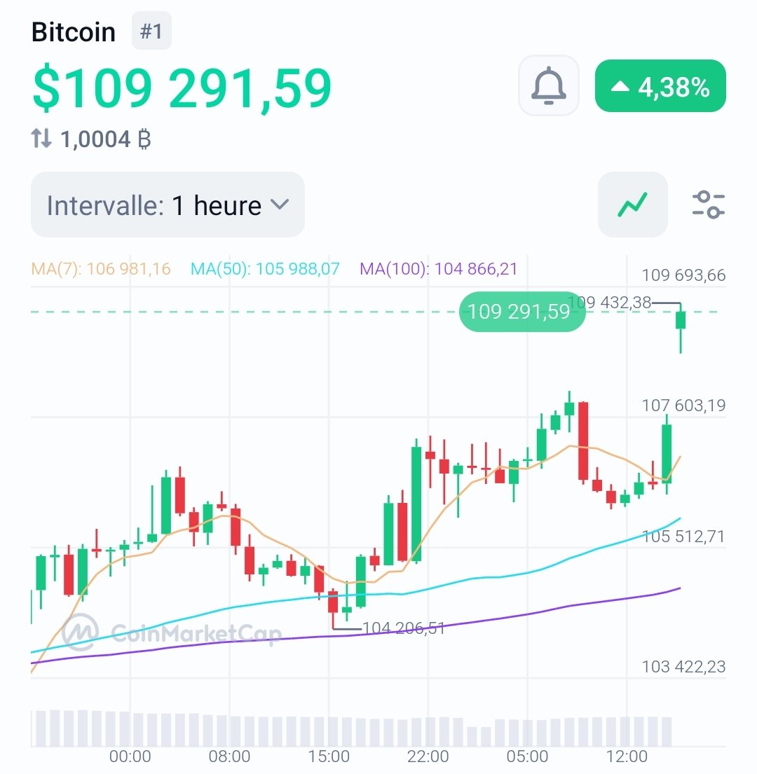 Crypto__Goku's tweet photo. 🚨 Le Bitcoin dépasse son ancien ATH ! https://t.co/74RXHF860K