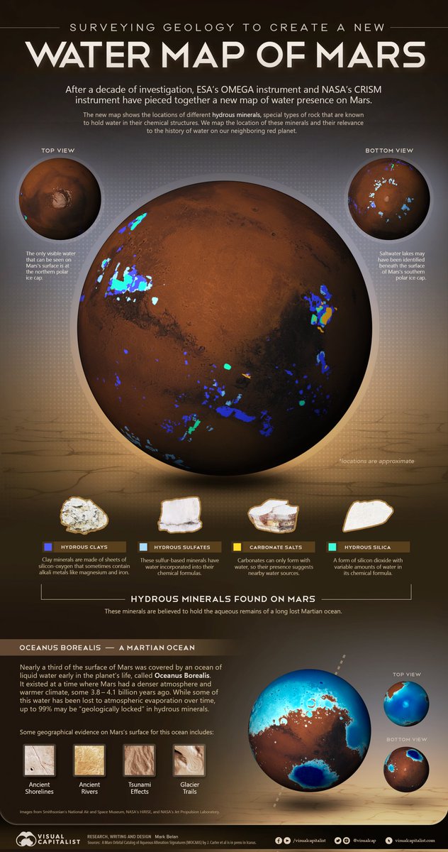 Wild to Home Animal Rescue tweet media