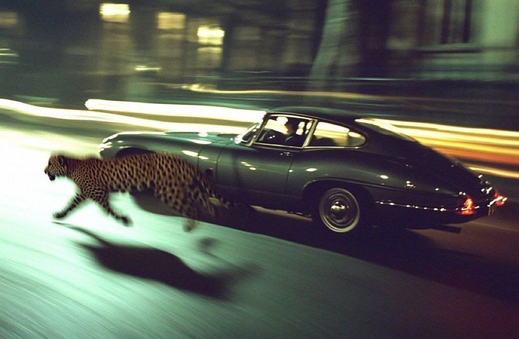 Mini Archillect (@miniarchillect) on Twitter photo 