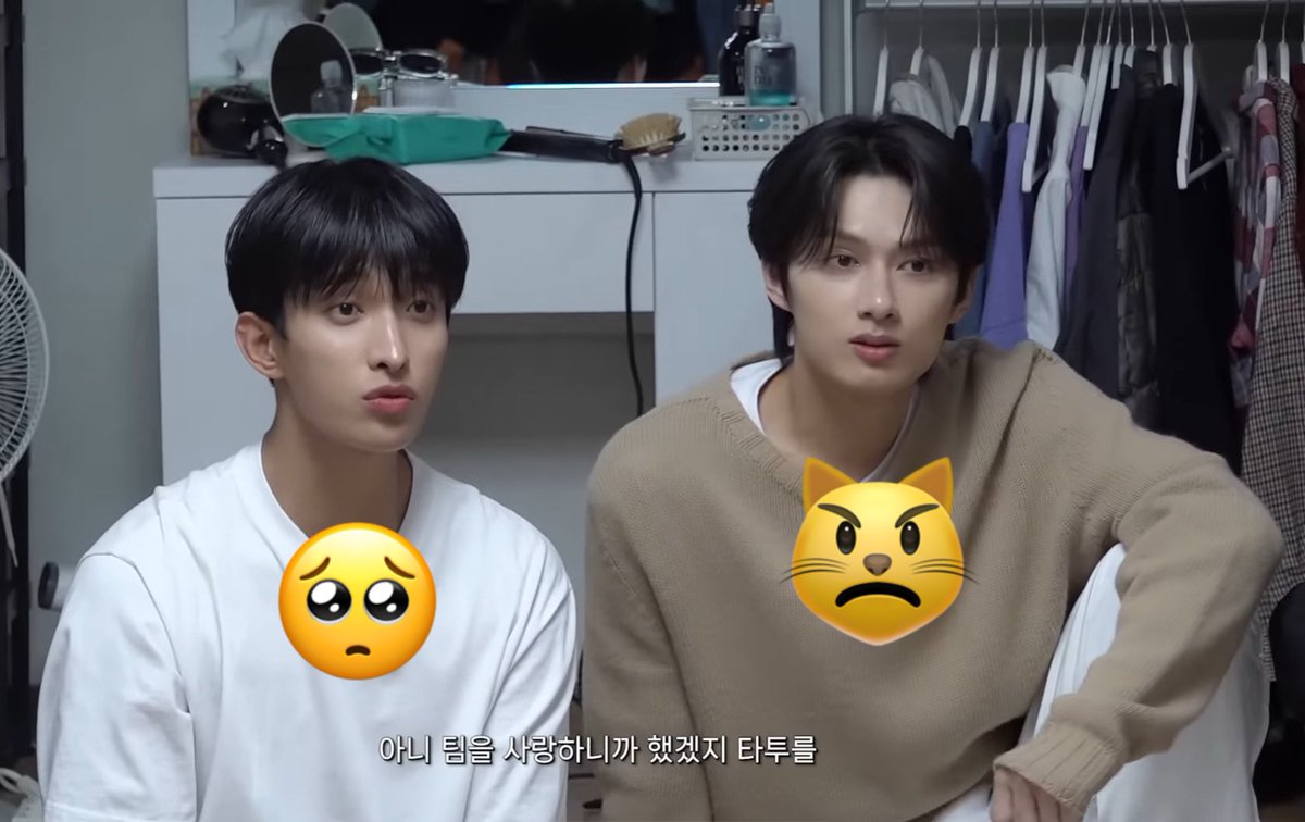 they 🥺 😾
