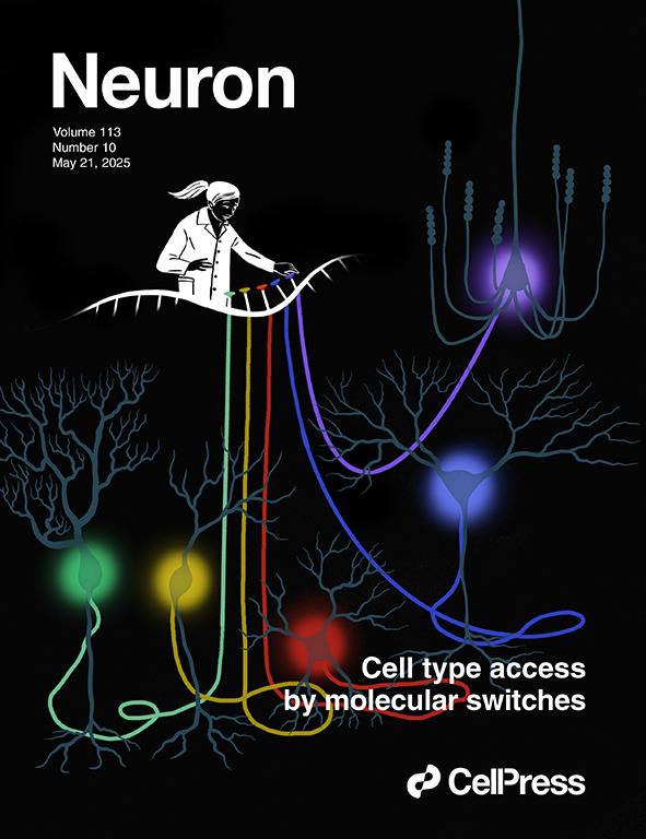 Neuron (@neurocellpress) on Twitter photo New Neuron issue! Discover methods for accessing neuronal and non-neuronal cell types in the CNS from the BRAIN Armamentarium Consortium ๐ง ๐ง
Read insights from Bosiljka Tasic & <a href="/GordFishell/">Gord Fishell</a>: cell.com/neuron/fulltexโฆ
Explore the full issue here: cell.com/neuron/current New Neuron issue! Discover methods for accessing neuronal and non-neuronal cell types in the CNS from the BRAIN Armamentarium Consortium ๐ง ๐ง
Read insights from Bosiljka Tasic & <a href="/GordFishell/">Gord Fishell</a>: cell.com/neuron/fulltexโฆ
Explore the full issue here: cell.com/neuron/current