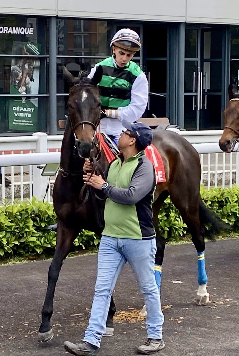 Ferdemente1's tweet photo. Preciosa victoria de Penrhead en Toulouse con @alexgu_officiel gracias Miguel Alonso, jockey y equipo !! Fotos y videos de mi amigo Jean Pierre Riviere 🙏👏☘️🏇🏼👍 que gane una yegua Martuliana es HISTÓRICO 🥰🤣 desde Gabarra no sucedía !! https://t.co/KmgtkQI9Bx