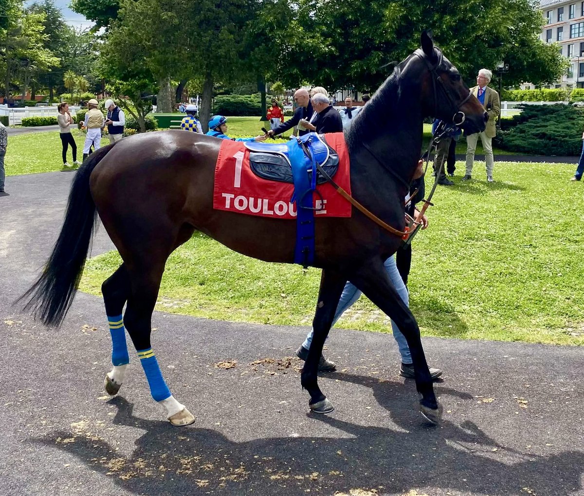 Ferdemente1's tweet photo. Preciosa victoria de Penrhead en Toulouse con @alexgu_officiel gracias Miguel Alonso, jockey y equipo !! Fotos y videos de mi amigo Jean Pierre Riviere 🙏👏☘️🏇🏼👍 que gane una yegua Martuliana es HISTÓRICO 🥰🤣 desde Gabarra no sucedía !! https://t.co/KmgtkQI9Bx