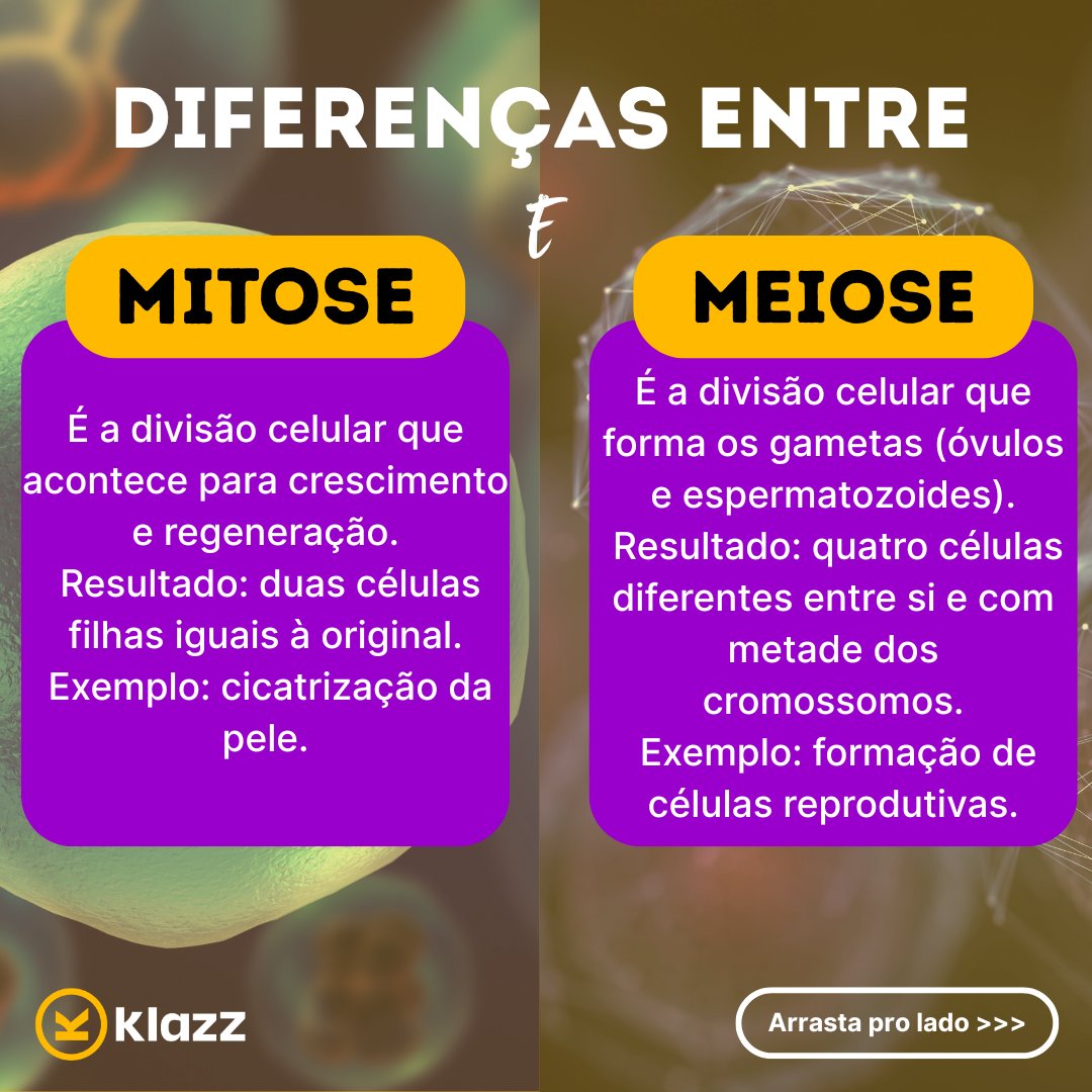 klazz_educacao's tweet photo. 🧬 Mitose ou meiose: você sabe a diferença?

Inscreva-se na plataforma e ganhe 7 dias de acesso gratuito! LINK NA BIO

#enem2025 #curiosidades #estudos https://t.co/4A9bJJCVMX