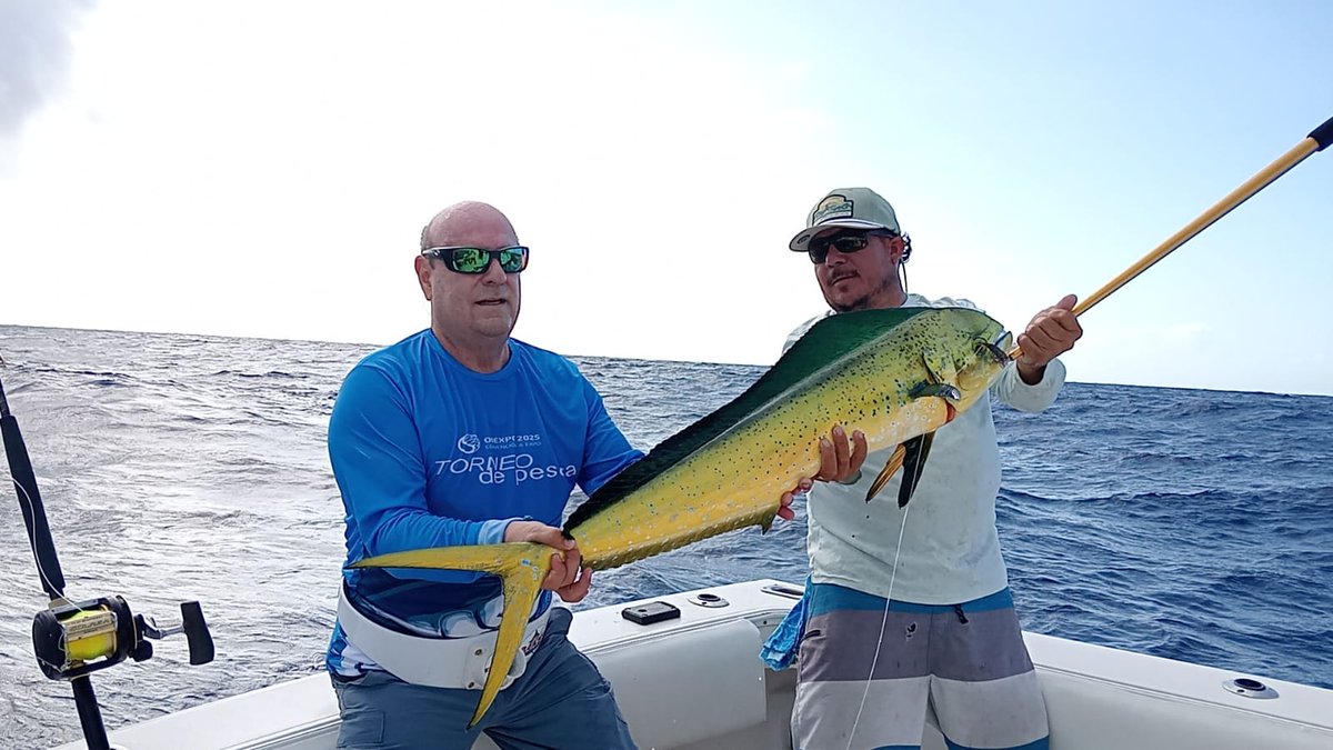 OnexpoNacional's tweet photo. Así se vivió la emoción en el Torneo de Pesca de #OCE2025.​

Un día lleno de adrenalina, naturaleza y grandes capturas. Gracias a todos los que fueron parte de esta increíble jornada. https://t.co/jRnKN9wjon