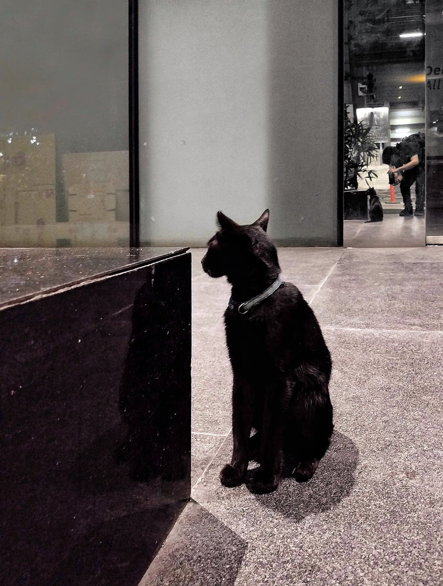 The Dead Geek Detective (@phntmgeek) on Twitter photo A furry little void around Ortigas. A furry little void around Ortigas.