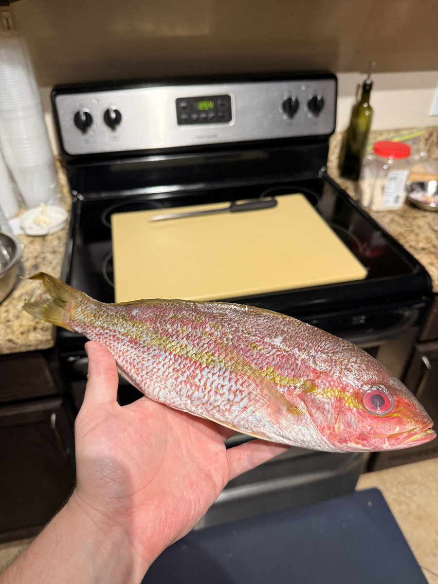 slickbee's tweet image. Feeeeesh