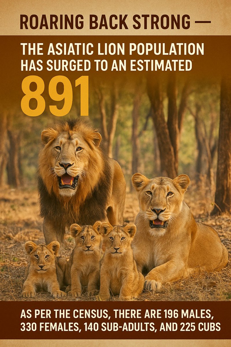 Gujarat Positive tweet media