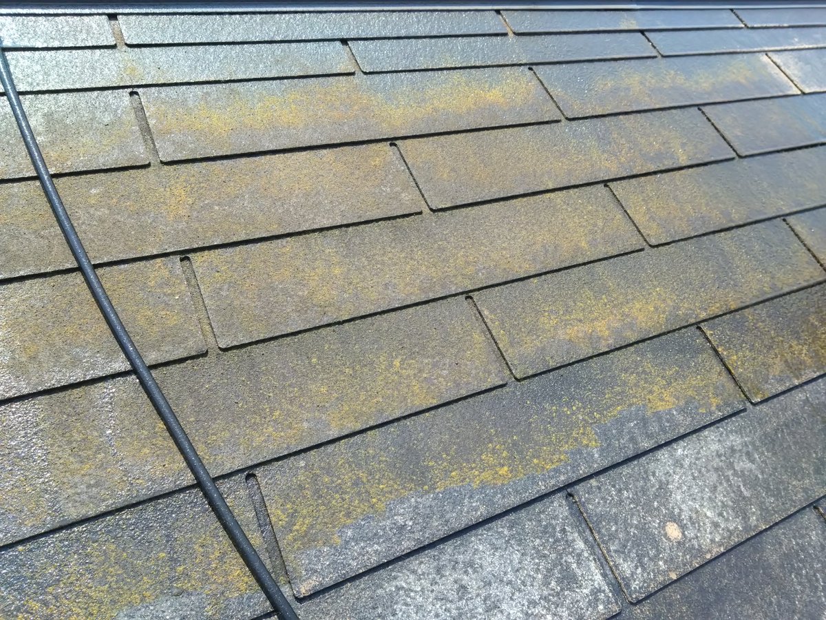 moritosou1's tweet image. 築25年、ノーメンテの屋根瓦。コケ・汚れが酷く、瓦も相当劣化していました。念入りな洗浄と下塗り＆中塗り＆上塗りでみごとにキレイに・・そして強靭な瓦へと生まれ変わりました。今後、風雨に耐え、塗膜性能を発揮する事を楽しみにしています。良い施工が出来て嬉しいです＾＾