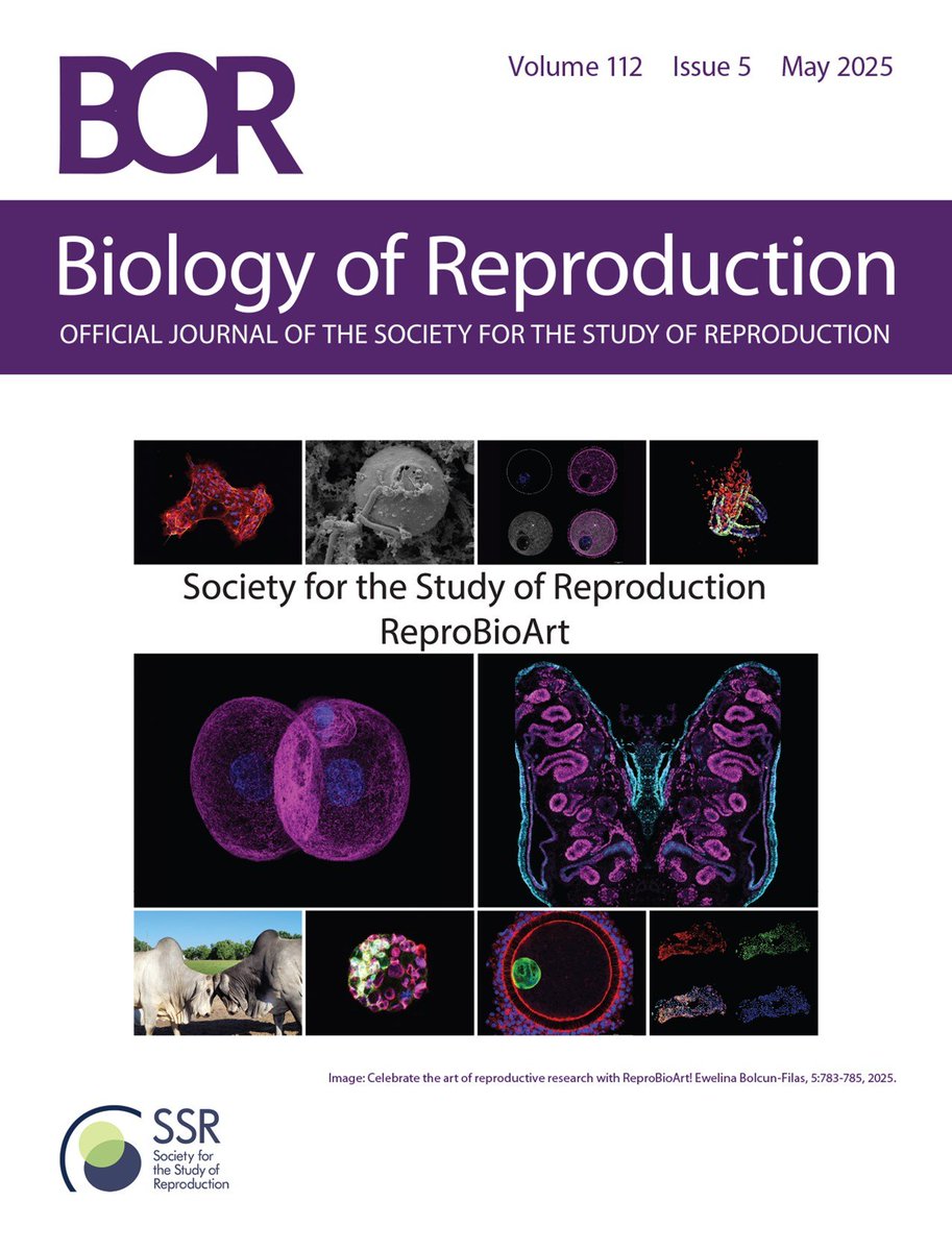 If you want your image to be on the <a href="/BiolReprod/">Biology of Reproduction</a> cover   submit your image to #ReproBioArt and win a chance to be featured as one of the top 12 in the 2025 edition! ssr.org/reprobioart-co… <a href="/SSRepro/">SSR</a>