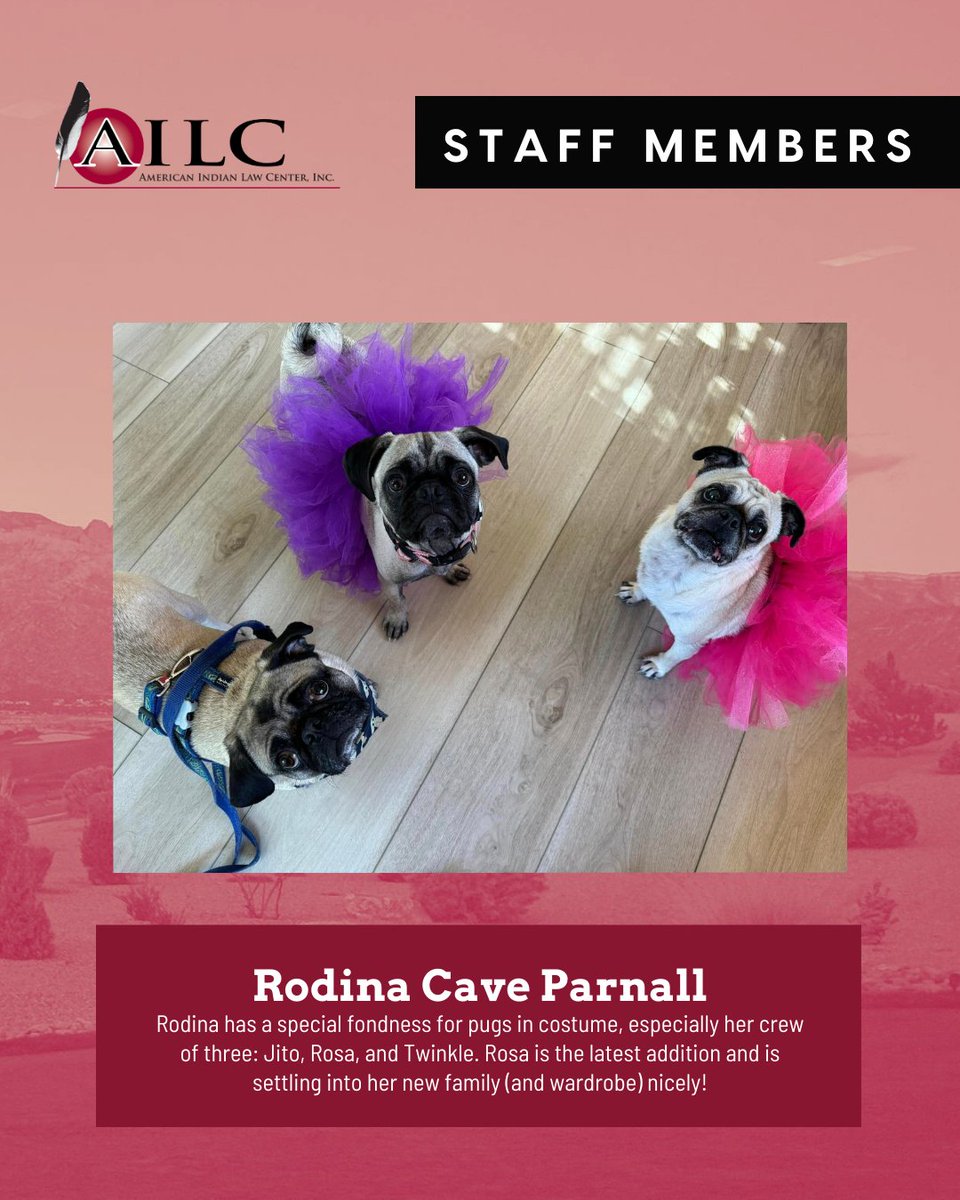 Rodina (Quechua) is the Executive Director of AILC and former Director of the Pre-Law Summer Institute for American Indians and Alaska Natives. She holds a Bachelor of Business Administration and a Master of Education from the University of Massachusetts Amherst. 

#PLSI2025