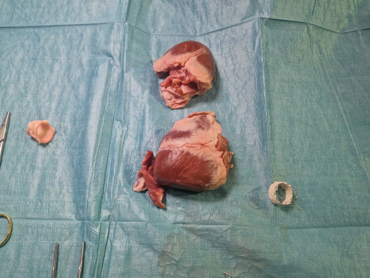 Dr Iain Gillingham tweet media