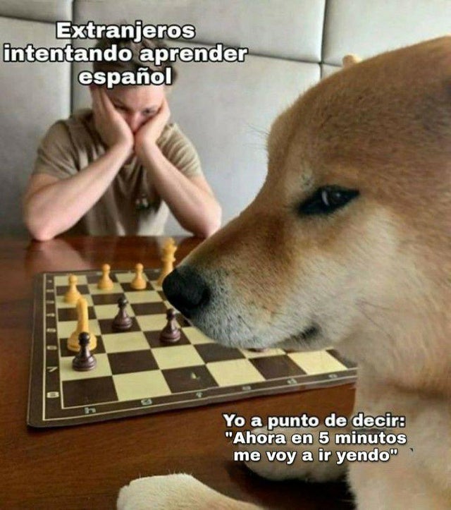 Ana_LaPatata (@ymuchosmemes) on Twitter photo 