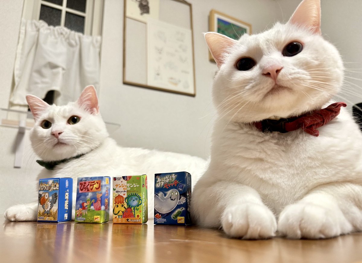 tmrks_tofu's tweet photo. ミニチュアカードゲームコレクションのガチャガチャ、4回で全部揃った！嬉しい！
#猫とボードゲーム https://t.co/qpFMFwl498