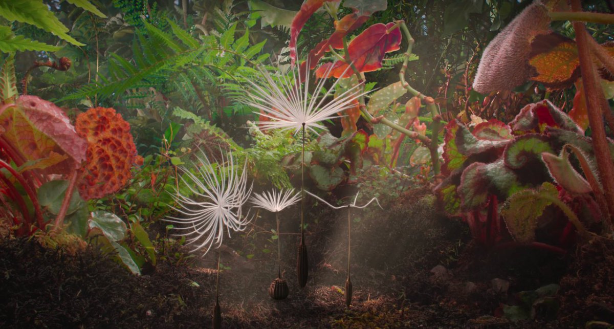 Cannes 2025 / Dans les coulisses des films : « Planètes » de Momoko Seto (Semaine de la Critique, film de clôture)

#Cannes2025 #cinéma #Planètes #SemaineDeLaCritique

Article réservé aux abonnés : satellifacts.com/fr/article/vie…