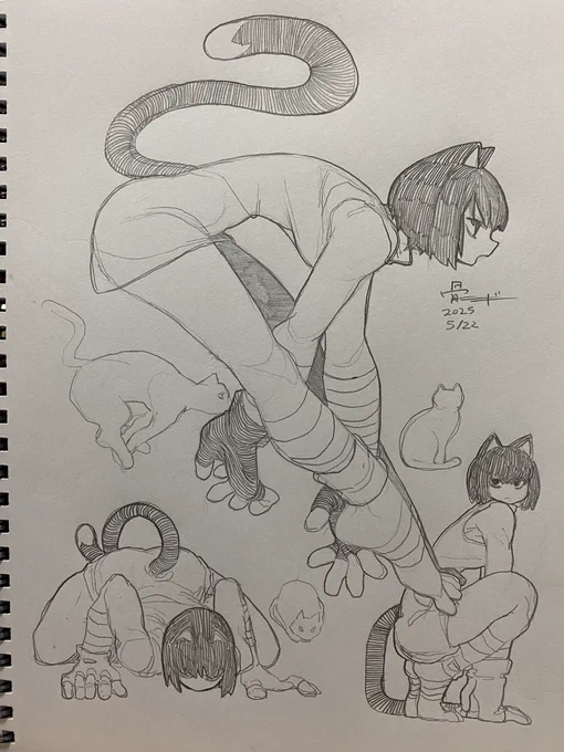 猫ポーズ 