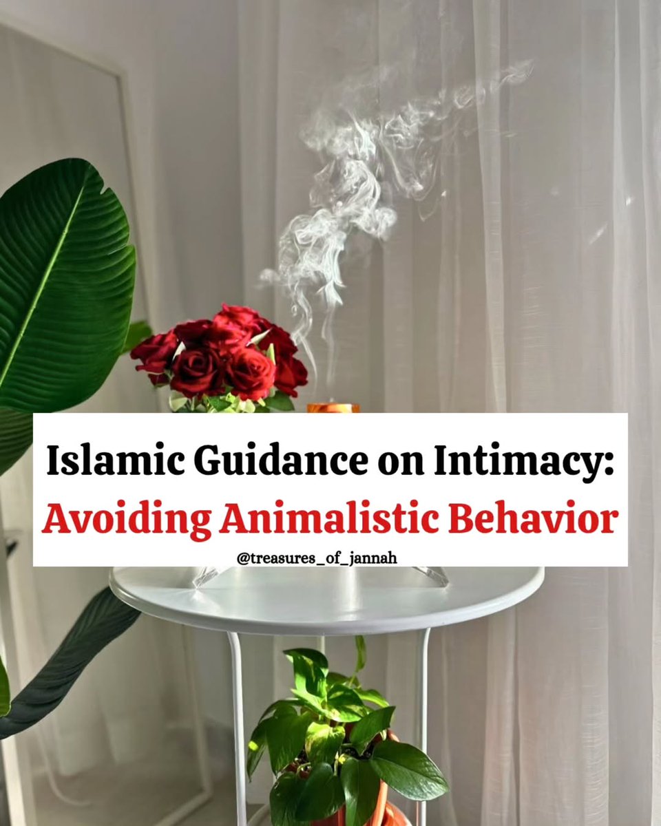 Cool_Ustaz's tweet photo. Islamic guidance on Intimacy: Avoiding animalistic behavior. 📚

-Thread 🧵 https://t.co/itBORruL3k