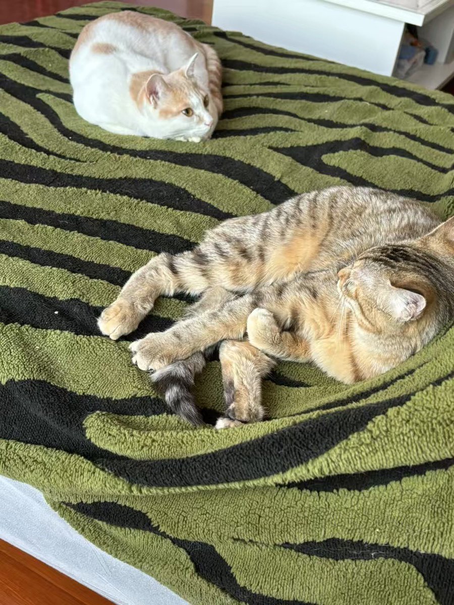 黄推福利内容 - 小美(单纯喜欢做爱)钱来钱来的精彩图片 福利姬小美(单纯喜欢做爱)钱来钱来分享的黄推图片4 - 网红私拍内容